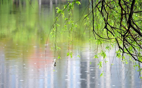 雨中的守护者 —— 泾川珍珠棉的应用实践